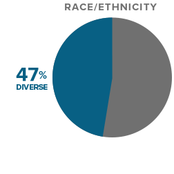Race/Ethnicity Chart
